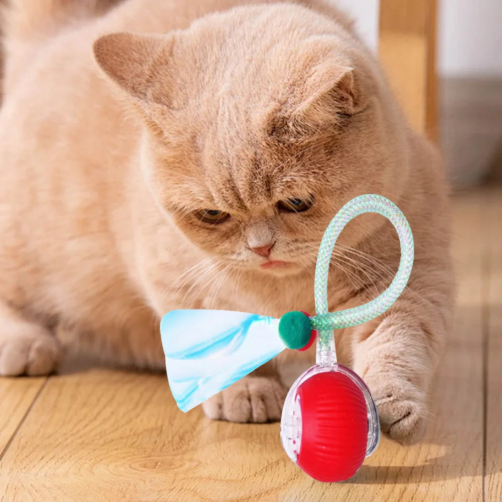 Interactive Cat Toy Ball Rechargeable Electric Cat Toy with Elastic Mesh Tail Cat Toy Ball for Bored Indoor Adult Cat