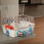 Combi 1 Starter Hamster Cage | Includes Accessories | 15.94L X 11.61W X 8.86H Inches, Green