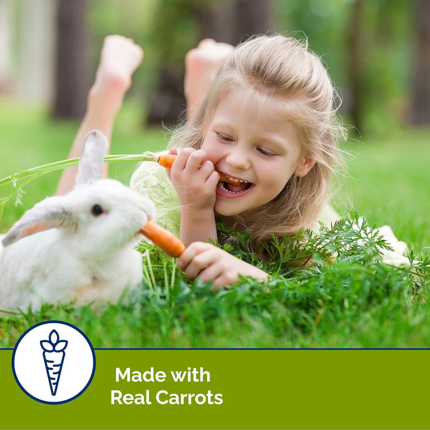 Slims Carrot Small Animal Treats – Light, Healthy Food Bites - Crispy Carrot Treats for Rabbits, Guinea Pigs, Hamsters & Chinchillas (10Oz).